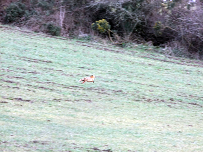 ''Catch me if you can!!''