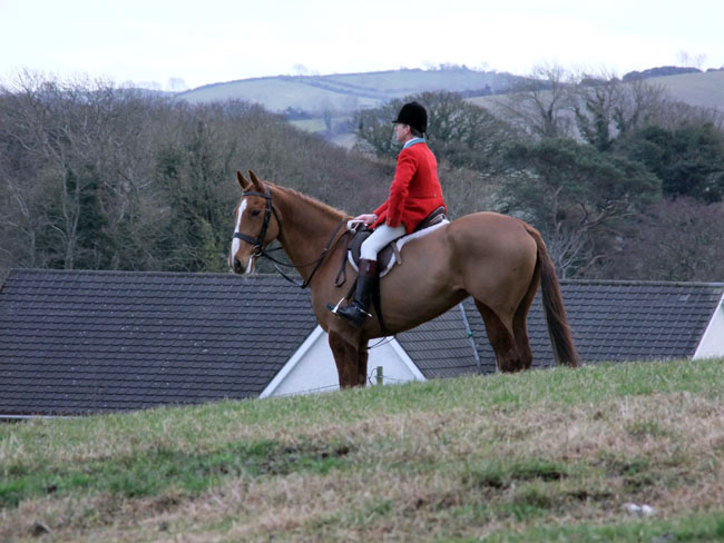 ''Is that a fox I see...''