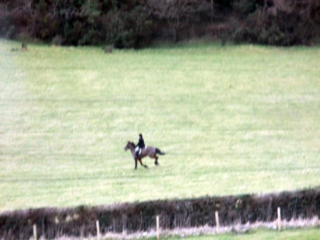Gerry Rea in hot pursuit