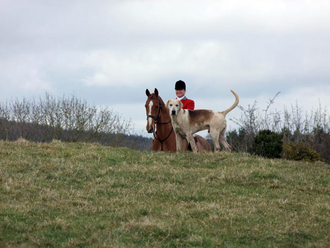 Huntsman DJ Feeney happy with the ways things are going - (we think!)