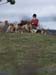 Hounds awaiting their orders form the boss!